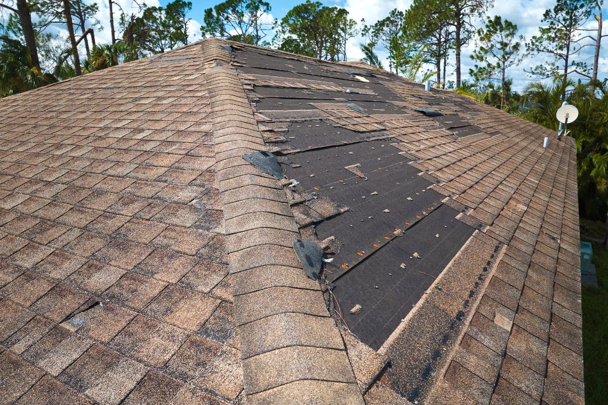 roof inspection