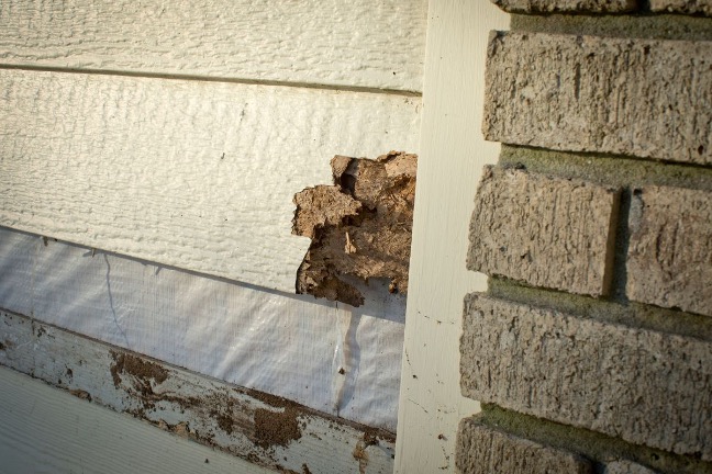 How to Know It’s Time to Replace Your Siding