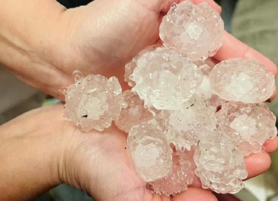 Storms Just Rolled Through. Now What?